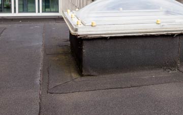 disadvantages of Canhams Green flat roofs