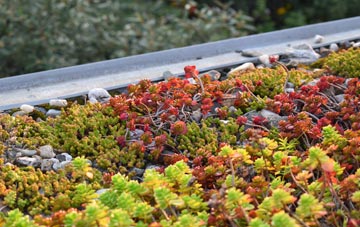 the cost of Canhams Green green roof installation