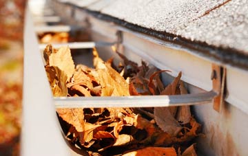 Canhams Green gutter cleaning companies
