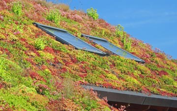 Canhams Green living roof systems