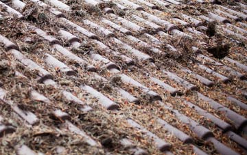 Canhams Green roof cleaning companies