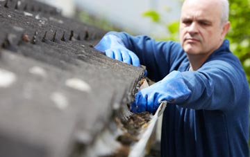 cleaning and inspecting Canhams Green roofs