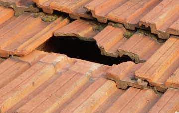 roof repair Canhams Green, Suffolk