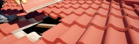 compare Canhams Green roof repair quotes