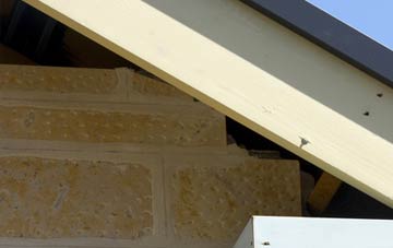 soffit repair Canhams Green