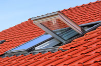 Canhams Green roof window